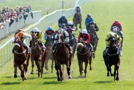 Bold Haze wins the opener at Ripon, 23rd Apr 2005, click for a larger image