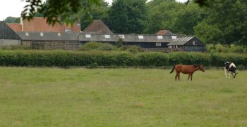 Burton Agnes Stud, July 2005, click for a larger image