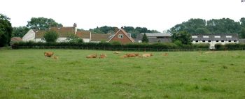 Burton Agnes Stud, July 2005, click for a larger image