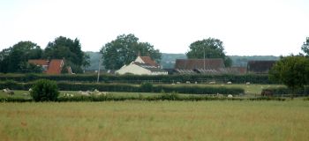 Burton Agnes Stud, July 2005, click for a larger image