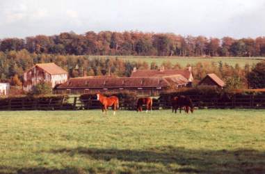 Cliff Stud, click for larger image