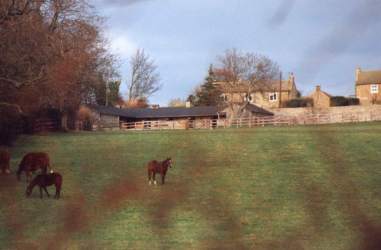 East Layton Stud. Click for larger image