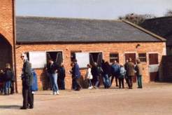 Yearling Yard, Middleham Open Day Apr 96, click for larger picture