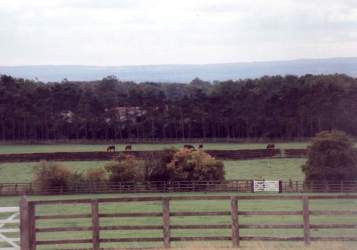 Thornton Stud from park towards public stud. Click for larger image